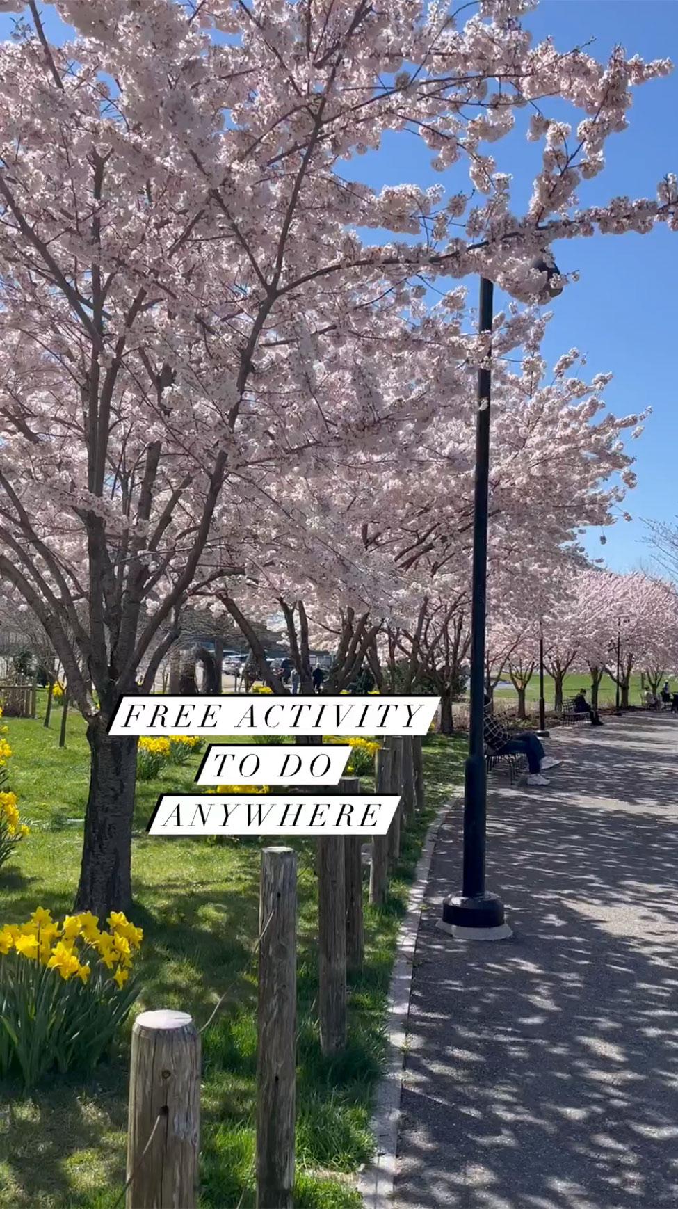 Screenshot of a video on area activities produced in the content creation course for Pace University's Writing and Cultural Studies