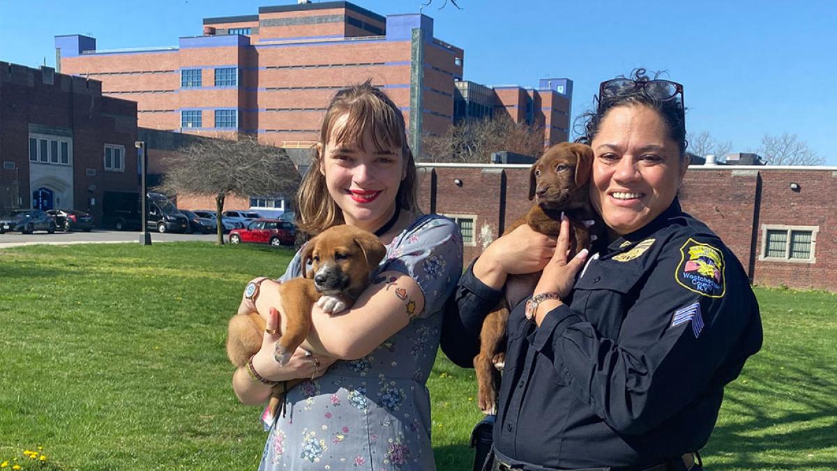Pace student Alicia Bennett ’24 and a corrections officer hold puppies outside of Westchester jail