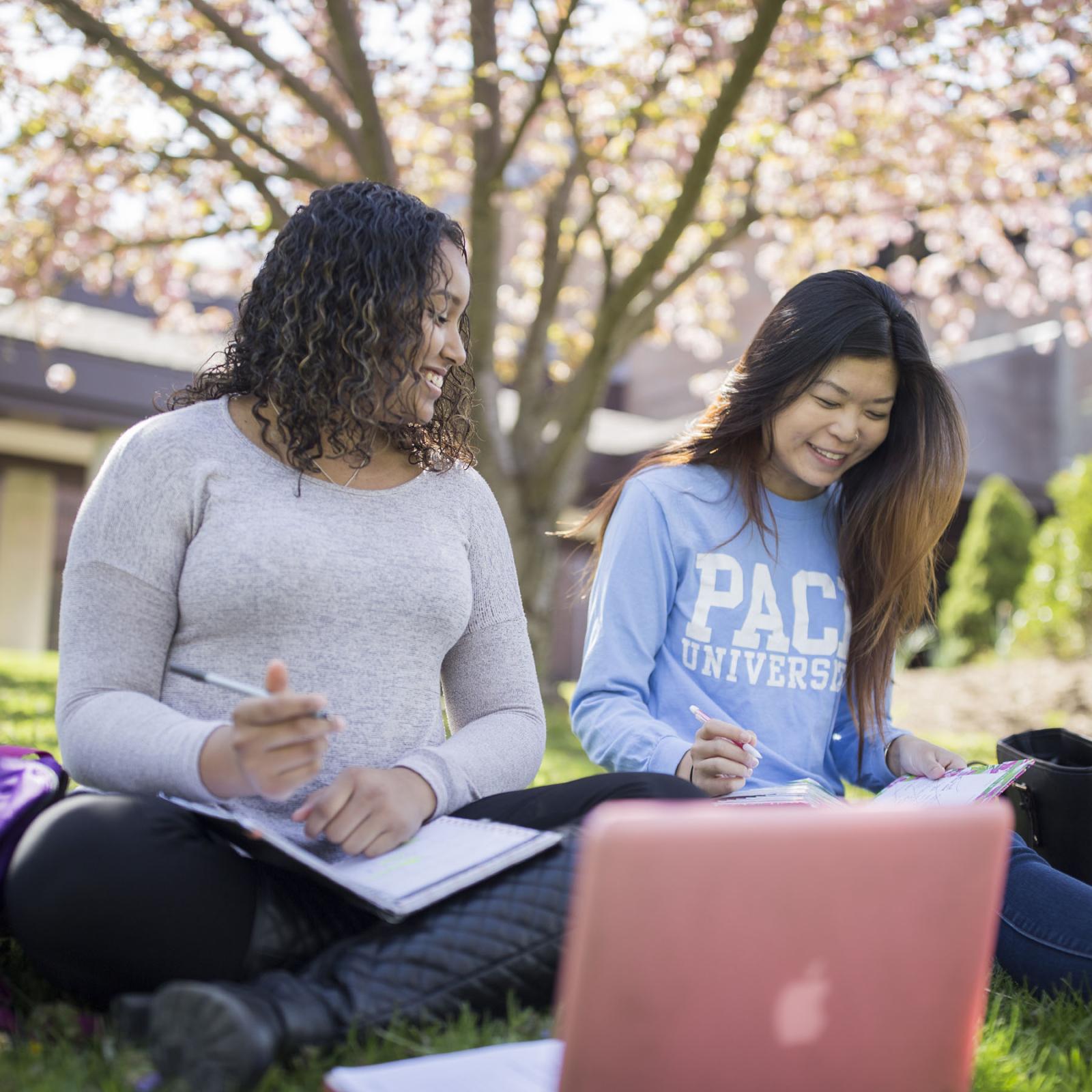 two Pace students studying on the lawn of the Pleasantville Campus in Westchester