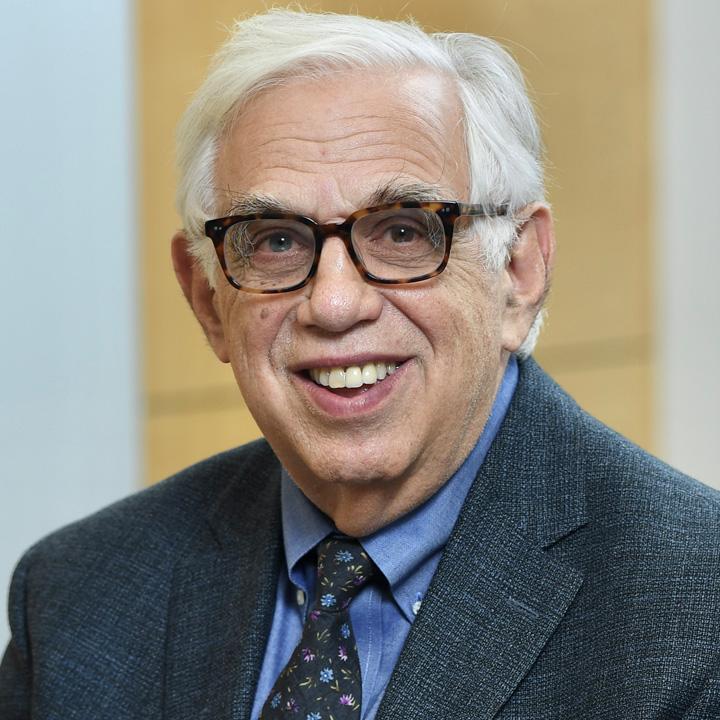 Michael B. Mushlin, Professor of Law at the Elisabeth Haub School of Law