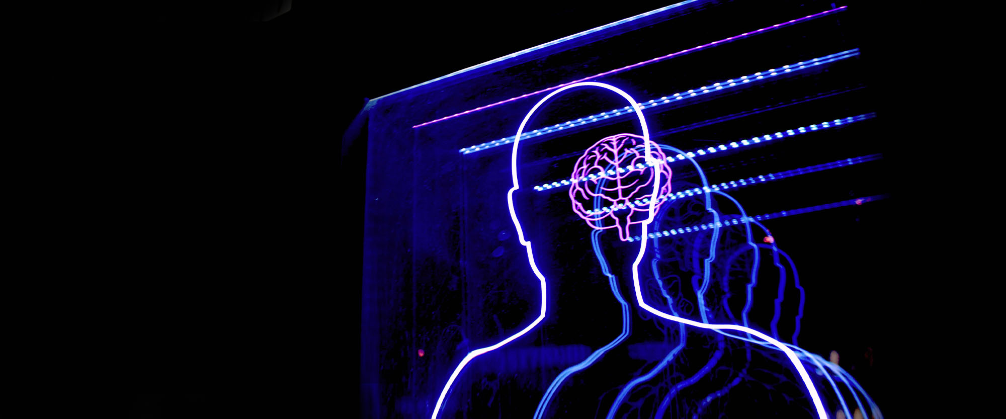 Departments | Psychology (New York City) | Pace University New York