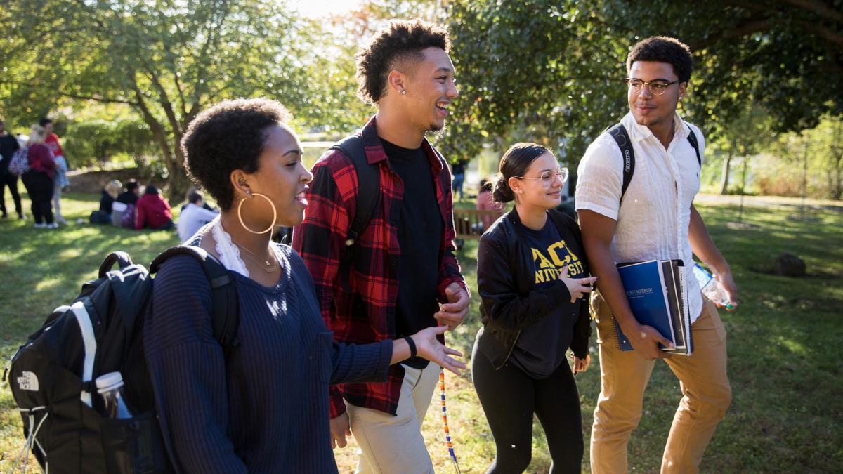 group of smiling people walking in the sun