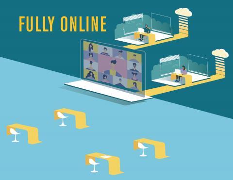Fully Online Teaching