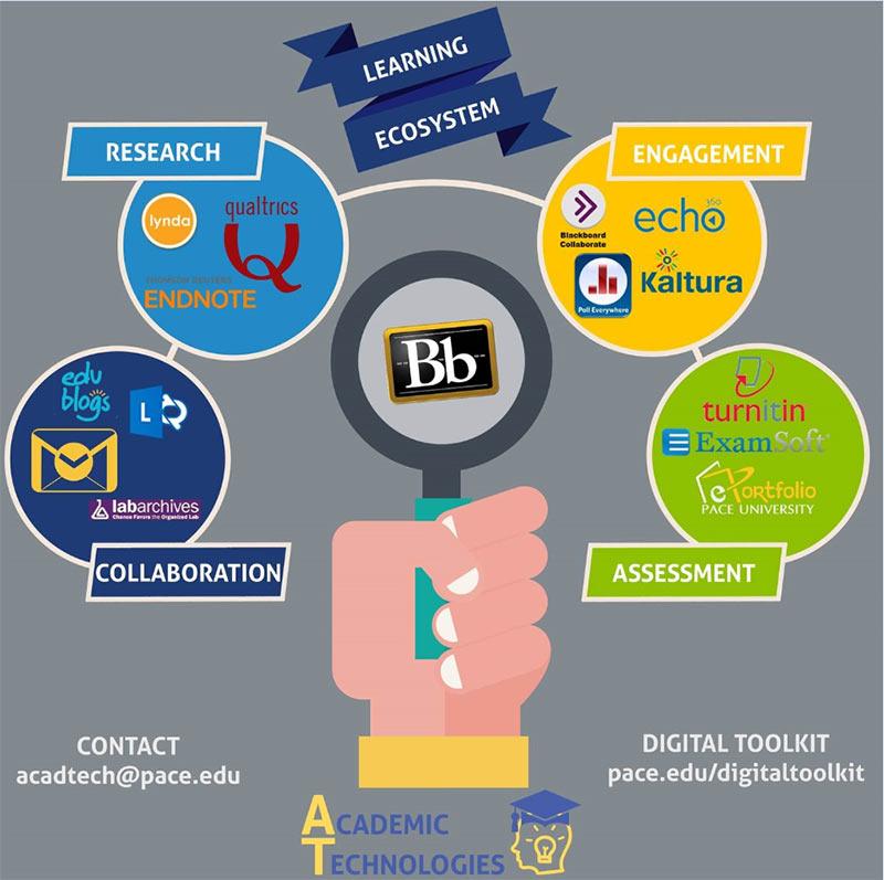 Learning Ecosystem infographic