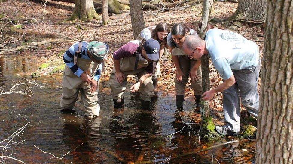 Students wading in deep water at the Teatown Lake Reservation