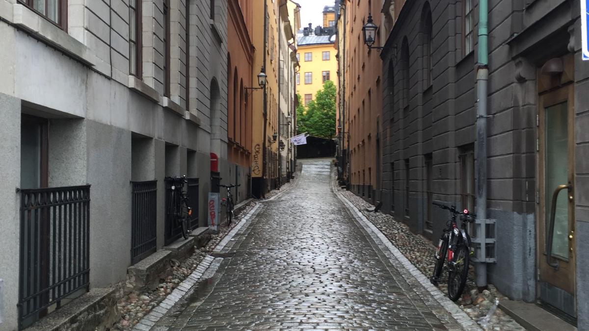 Lubin international field study to Denmark and Sweden