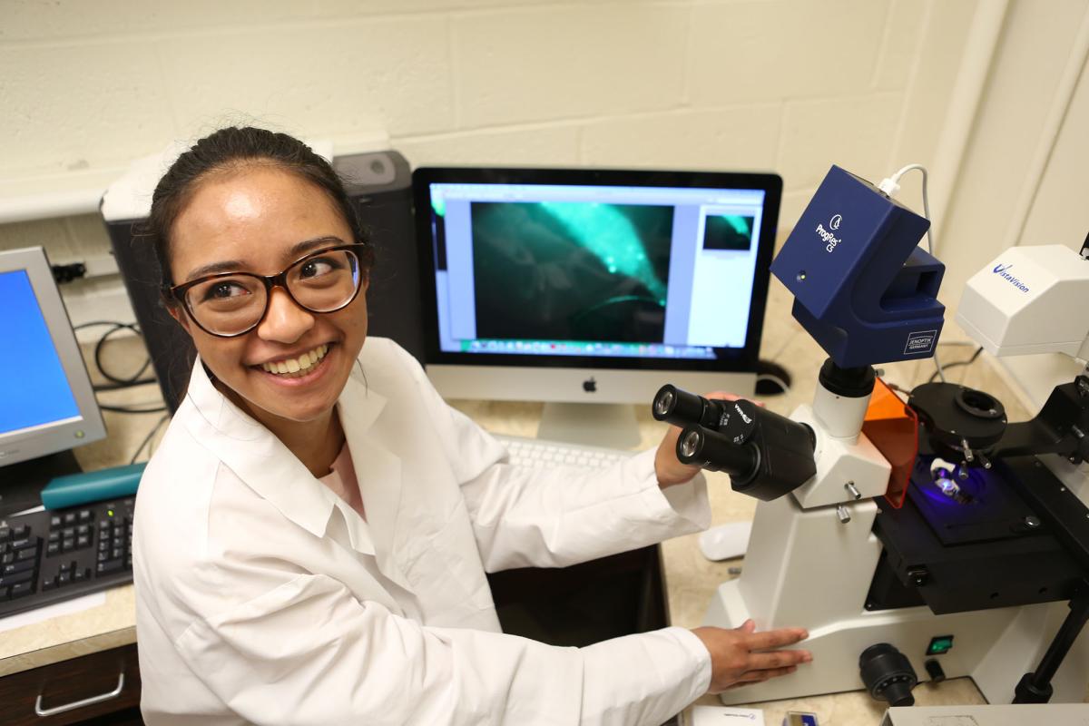 Student with a microscope in Haskins Lab