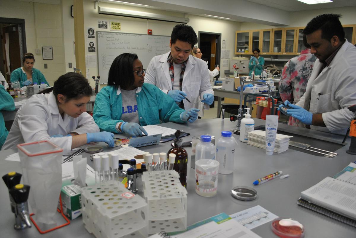 Students in the microbiology lab