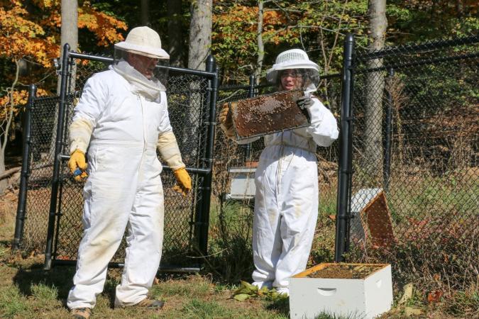 Pace University Becomes a Certified ‘Bee Campus USA’