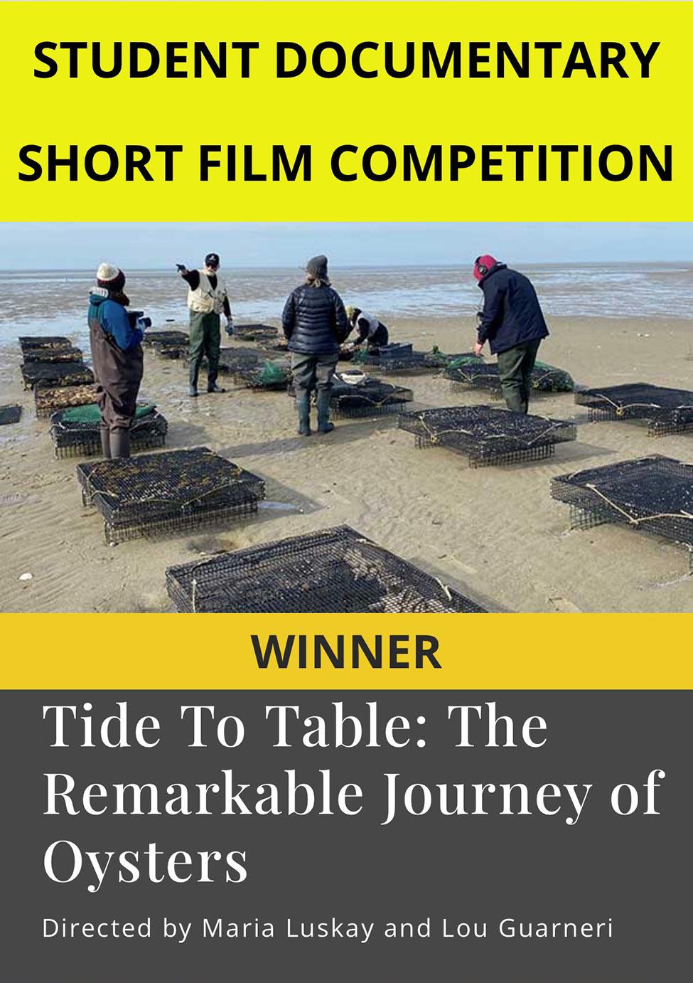 Movie poster with word that read Student Documentary Short Film Competition, Winner, Tide to Table: The Remarkable Journey of Oysters