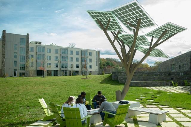 solar tree on the pleasantville campus