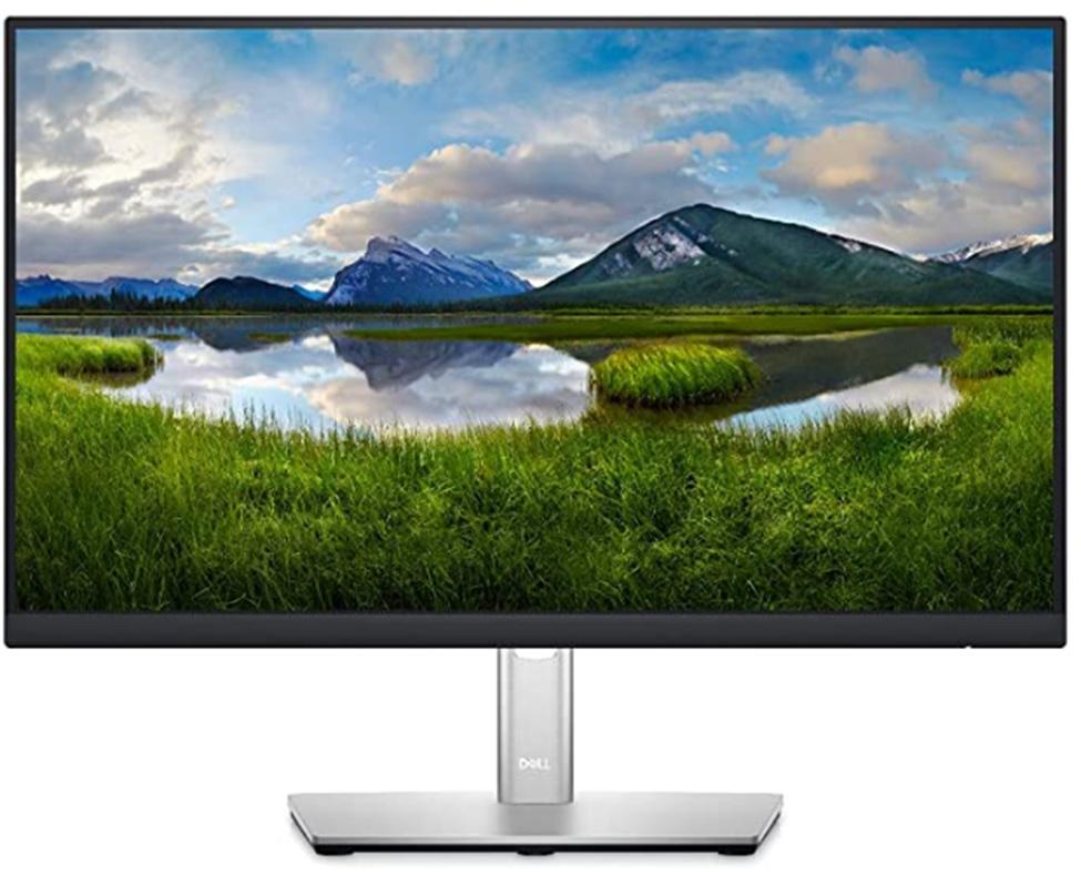 Dell 22P2222H LCD Monitor