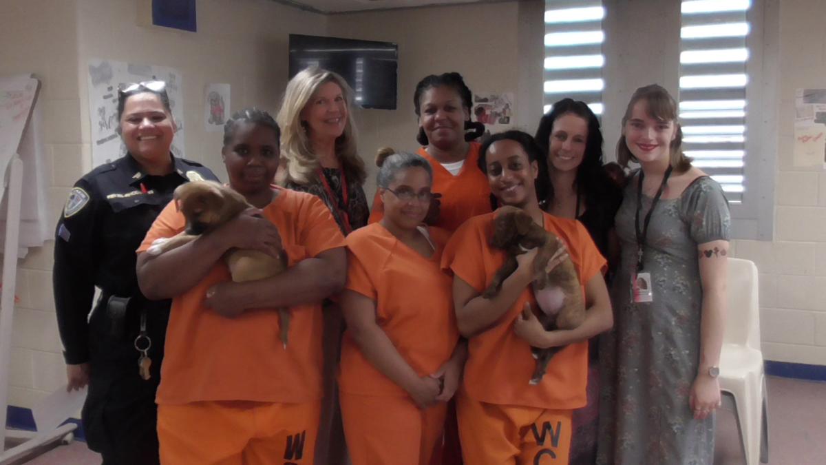 incarcerated women with puppies