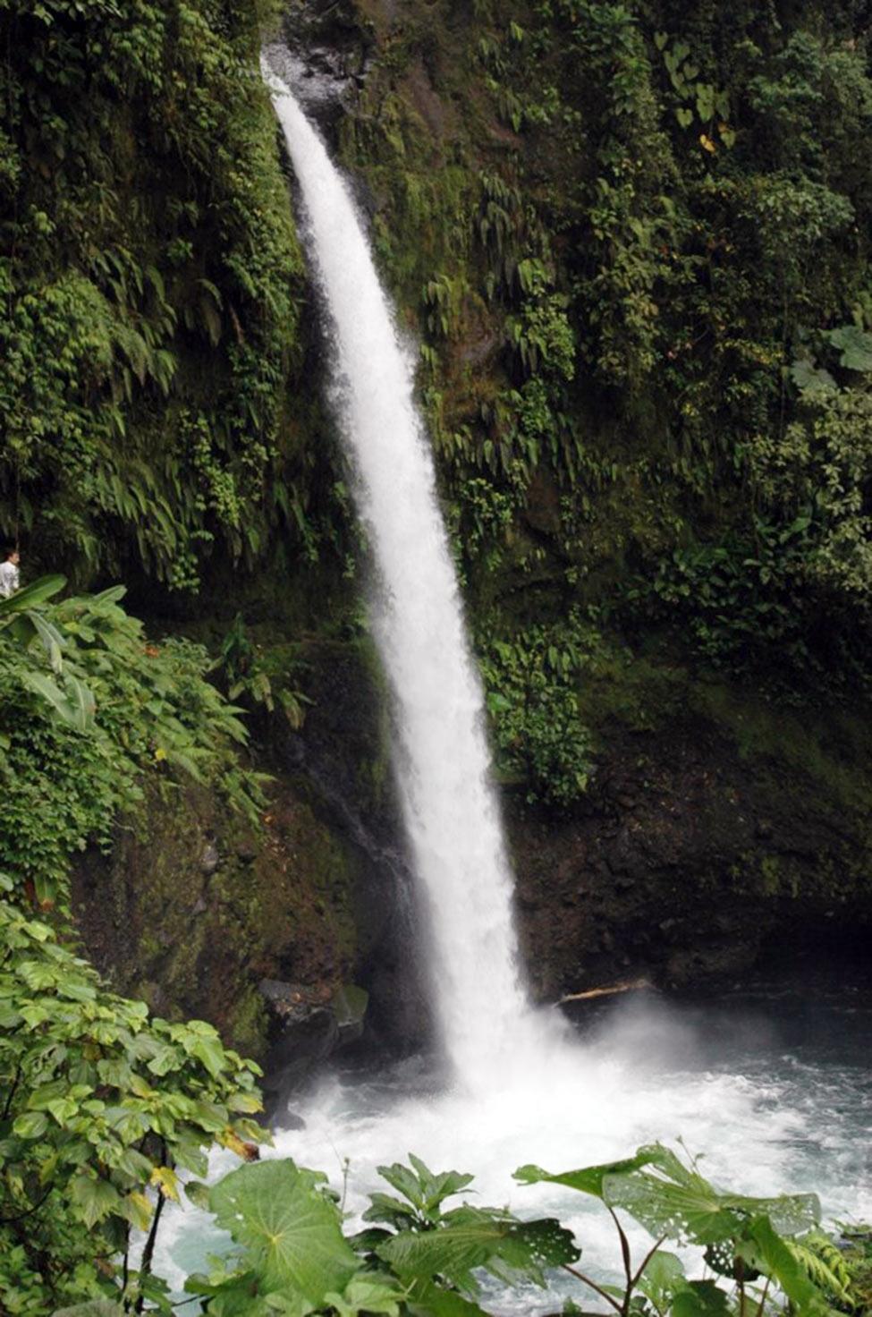 Waterfall in a managed forest near the University of Peace in Costa Rica for Pace University's 3+2 Biology with Ecology and Society program