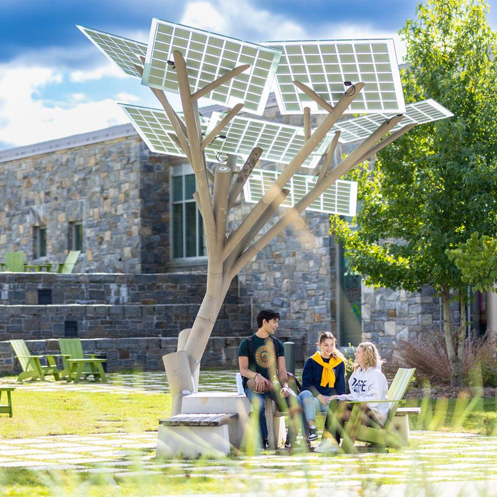 students sitting near the Solar Tree on the Pleasantville Campus