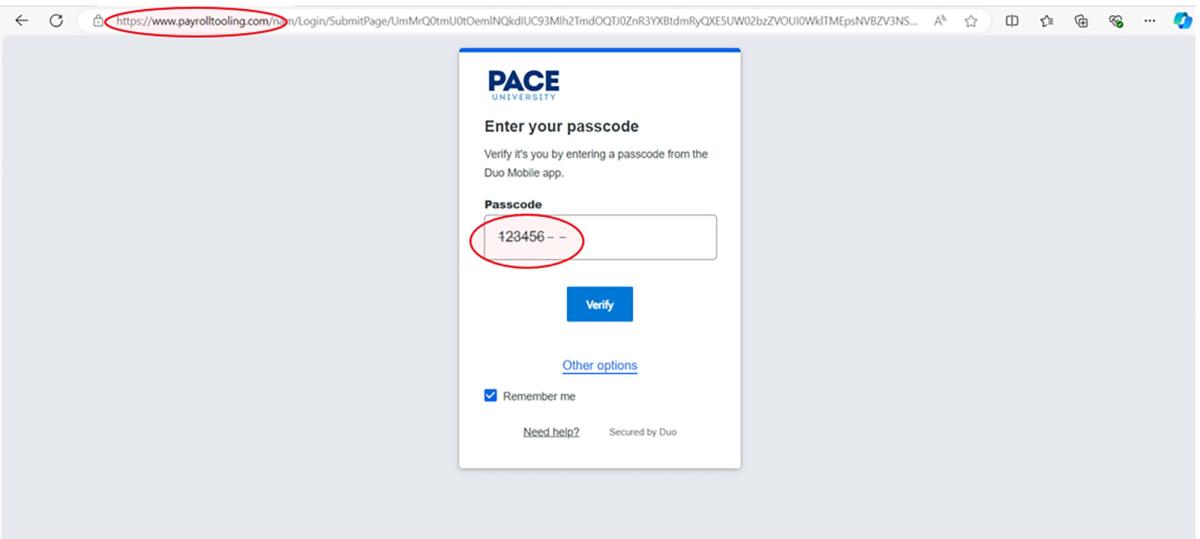 a fake version of the Pace two factor authentication page
