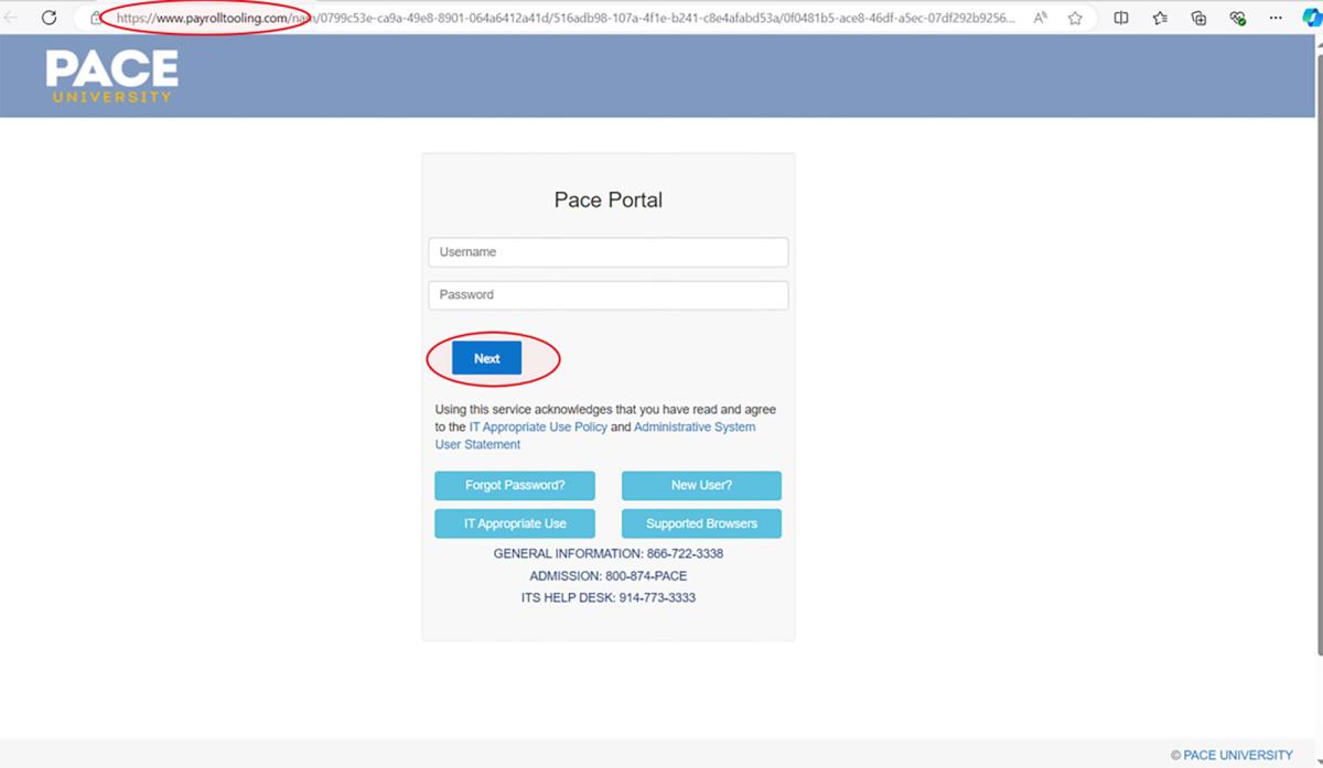 screenshot of a fake pace portal login page that the user interacted with