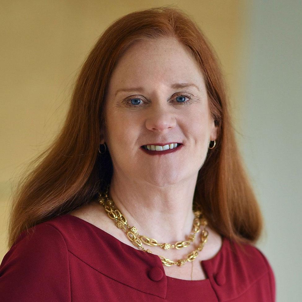Elisabeth Haub School of Law Distinguished Professor Bridget J. Crawford