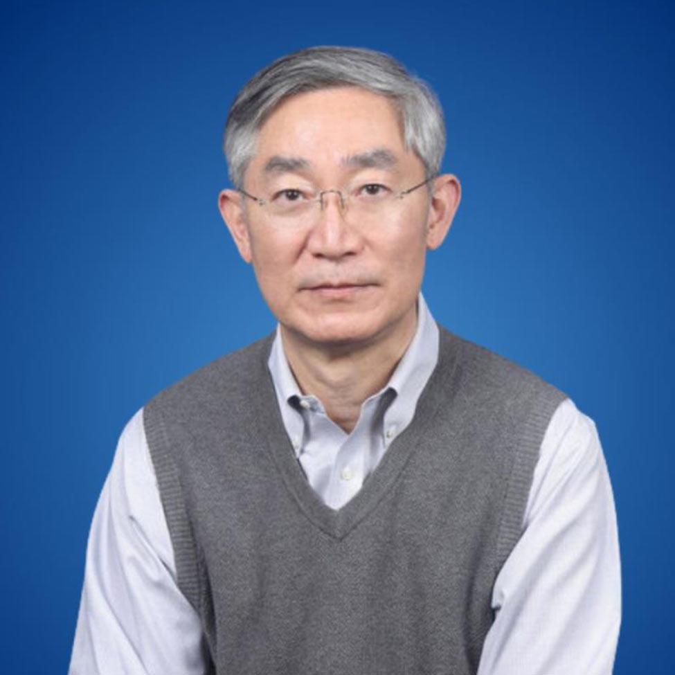 Professor at Pace University's Seidenberg School of CSIS