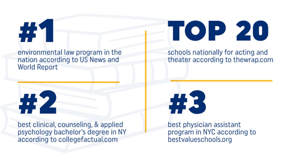 Infographic showing program excellence for Pace University. Read image caption for detailed information.