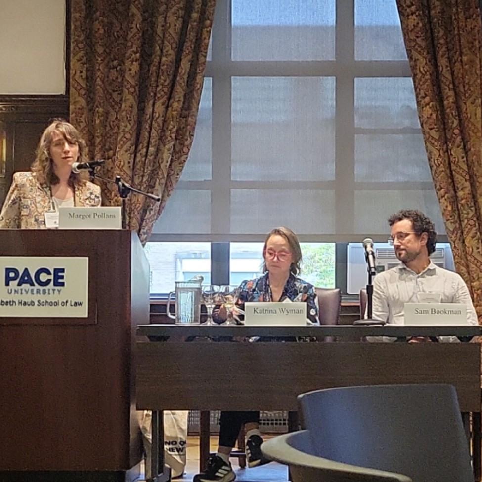 Elisabeth Haub School of Law at Pace University Professor Margot Pollans at podium during Future Environmental Law Professors Workshop