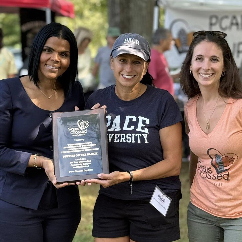 Professor Kim Collica Cox receiving an award.
