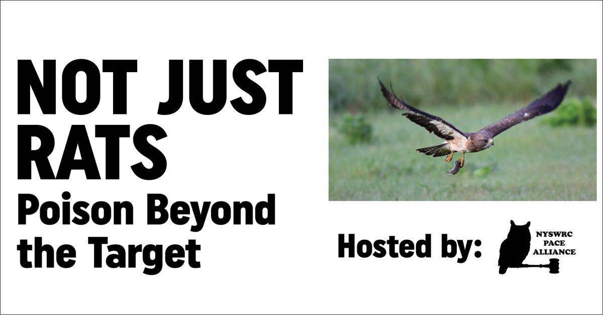 Not Just rats: Poison Beyond the Target event poster