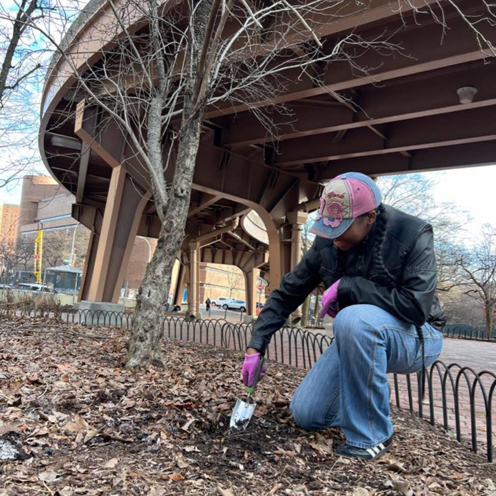 Pace University Environmental Studies and Science student collects soil samples in Gotham Park for analysis.
