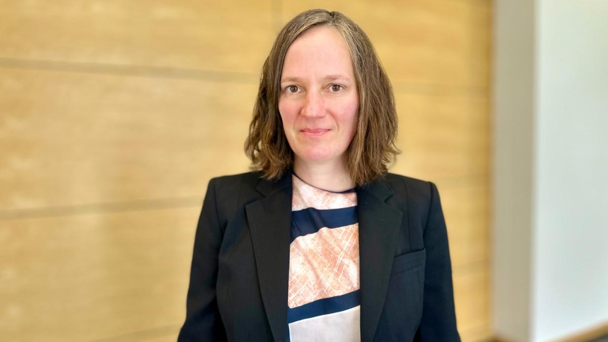 Elisabeth Haub School of Law at Pace Universit Professor Amelia Wilson