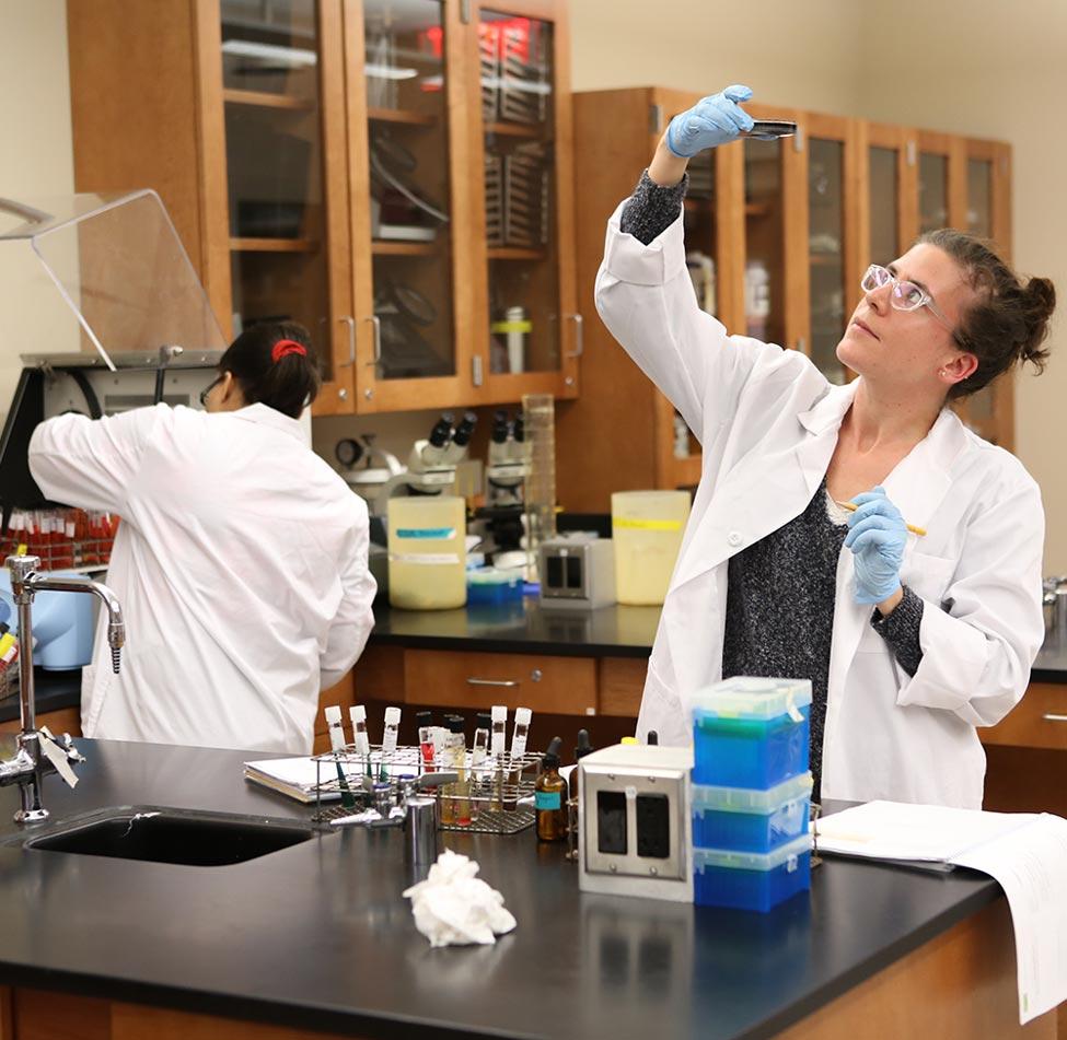 Two Pace University students working with chemistry equipment in the lab