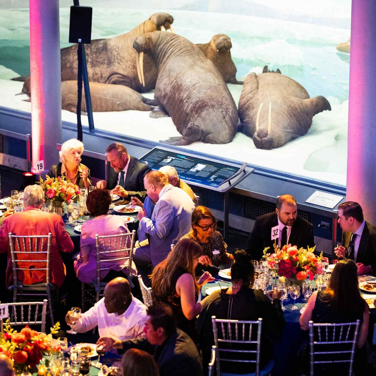 Spirit of Pace Awards gala at the American Museum of Natural History.