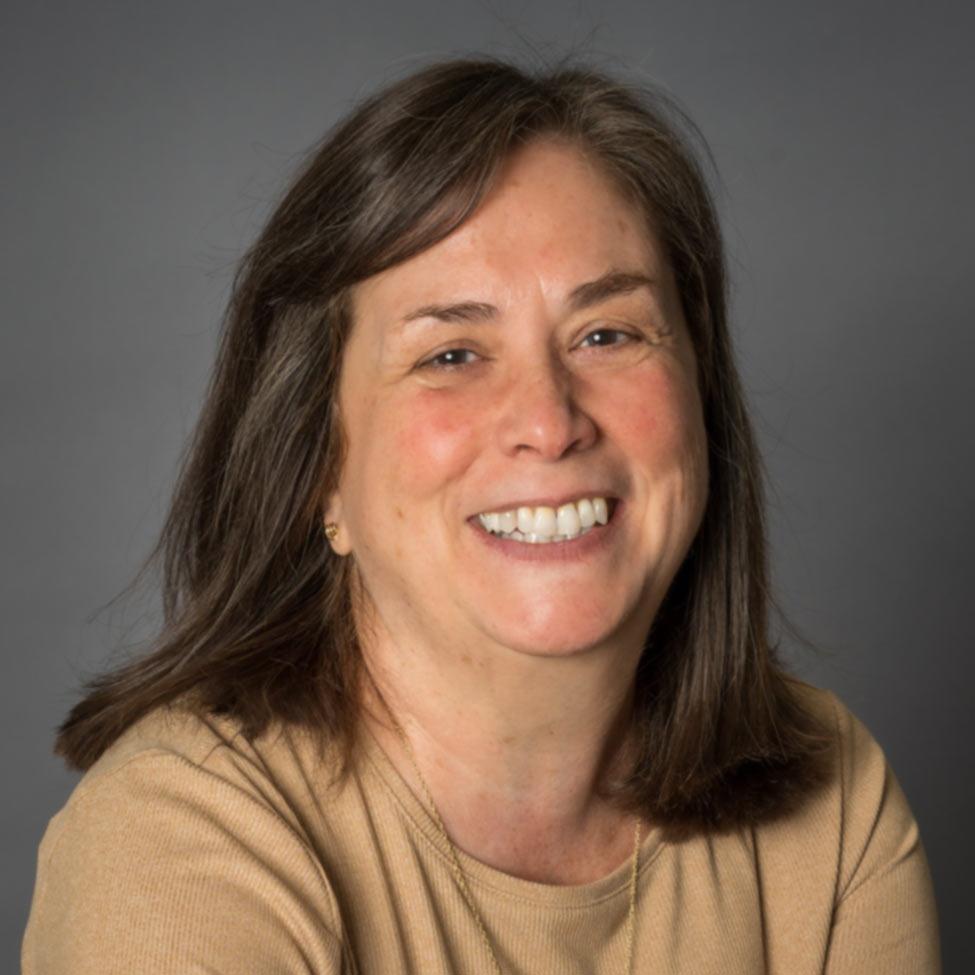 Donna Rendeiro, Senior Project Manager at BRS, Inc.