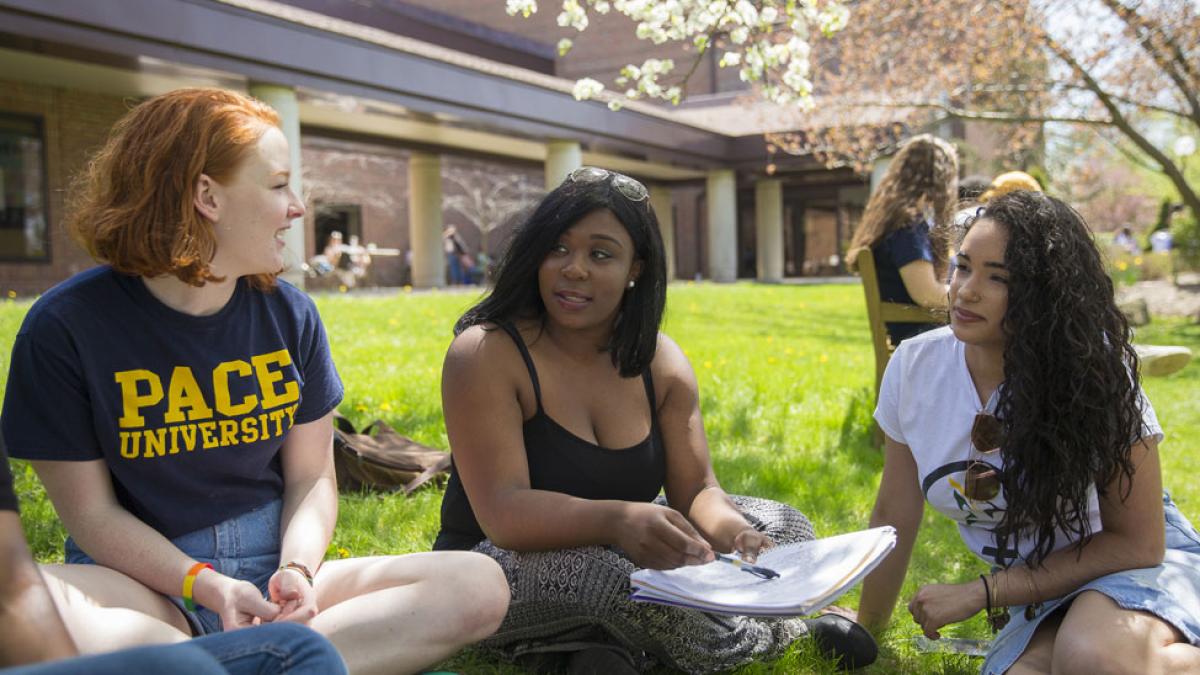 Group of students enjoying a sunny summer day on the lawn in front of the library.