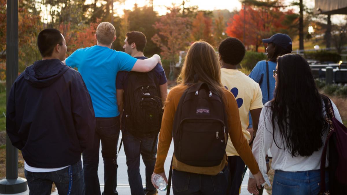 Group of students walking with their backs to the camera.