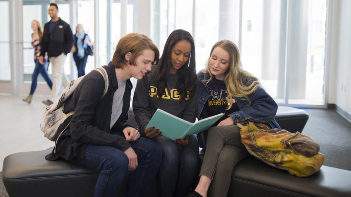 Group of students sitting on a bench looking at a book.