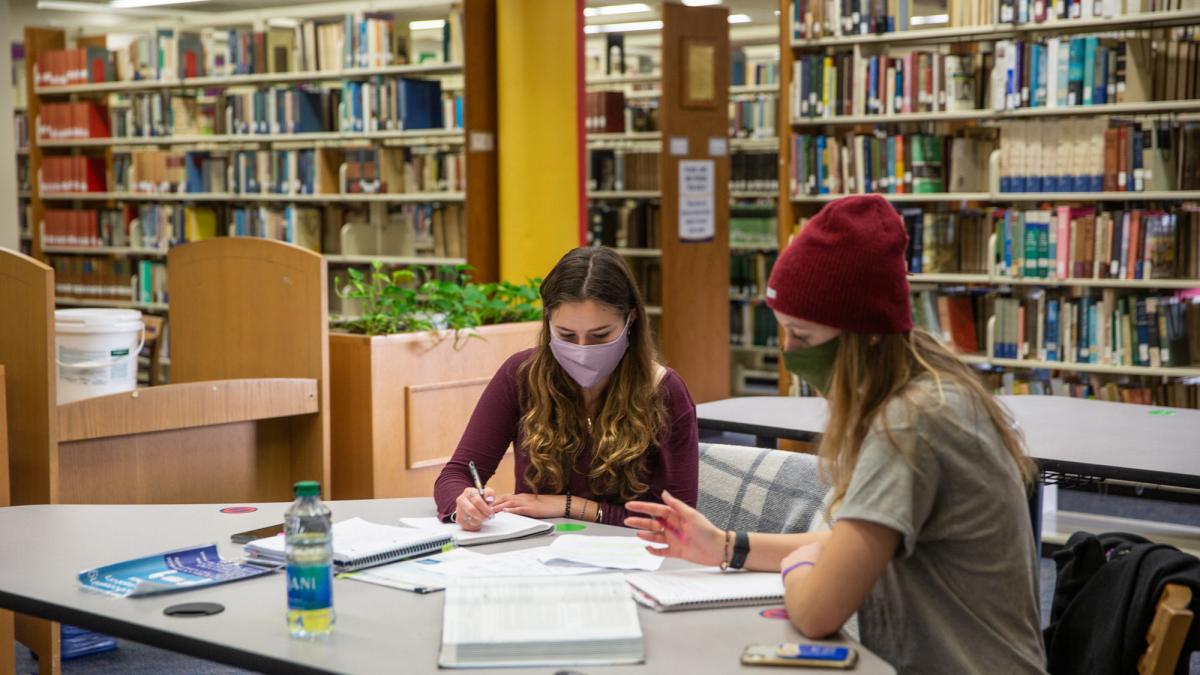 Students studying together in the library.