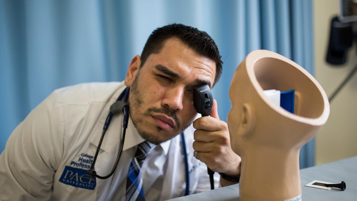 College of Health Professions student looking closely at a mannequin head.