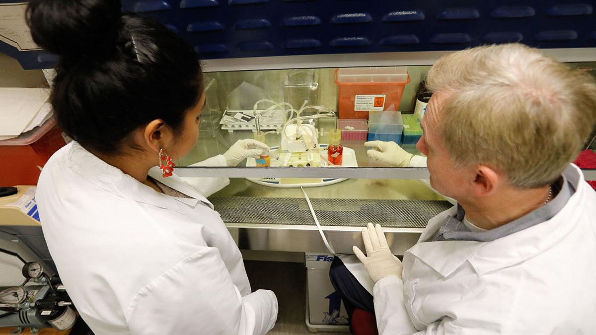 Student with Nigel Yarlett working under lab hood on scientific project