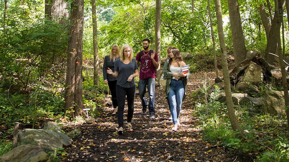 Students walking through the wooded areas of the Pleasantville campus