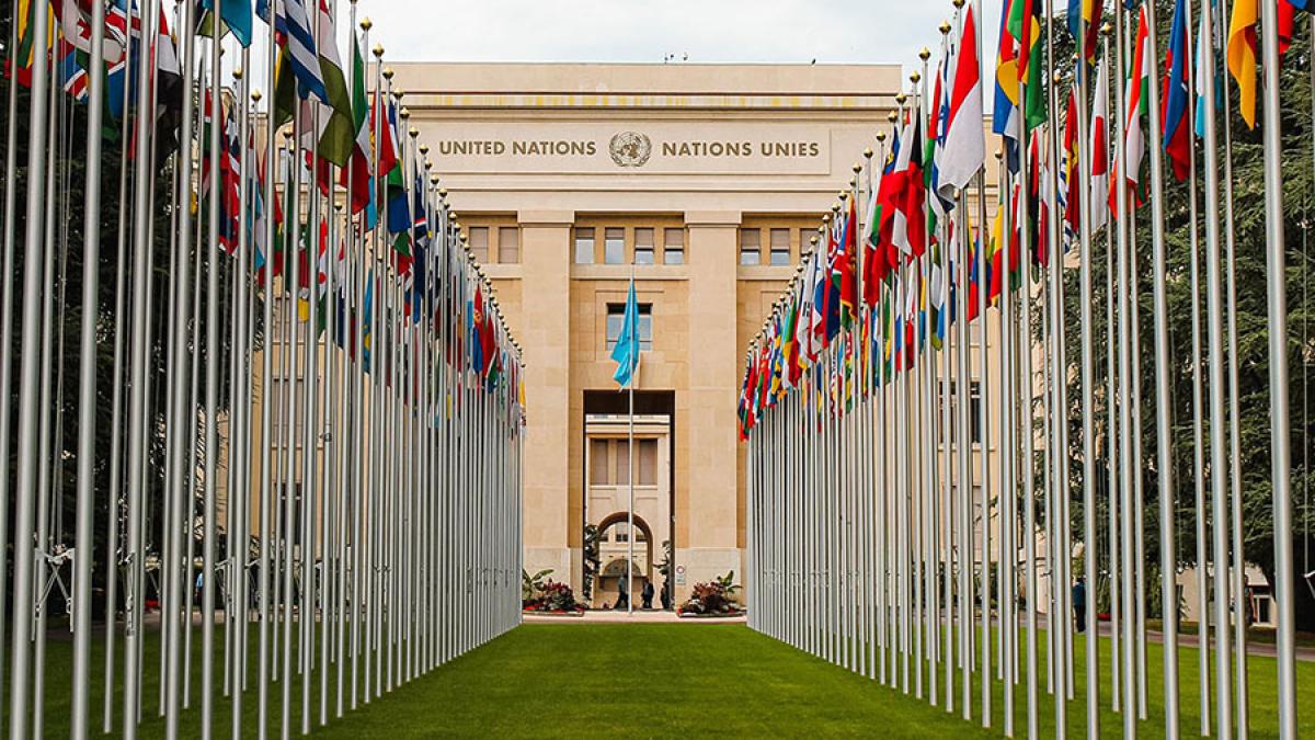 Flags lined up leading to the United Nations 