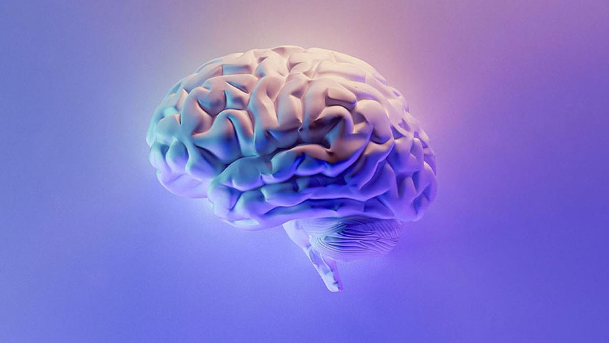 3D Generated Brain in Pastel colors