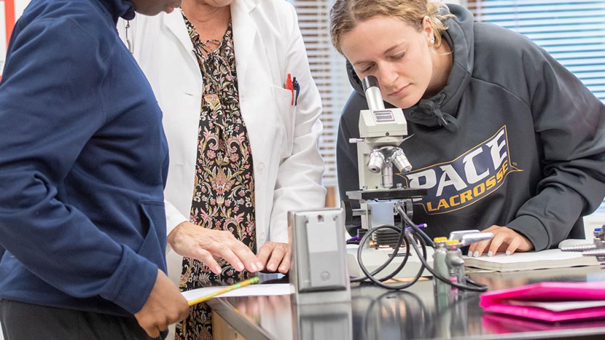 Student wearing Pace Lacrosse sweatshirt peering into microscope