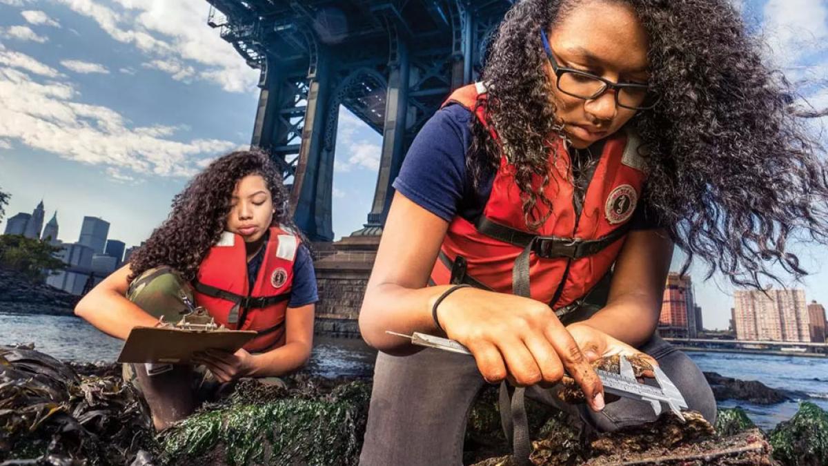 Students analyzing oysters in the Hudson