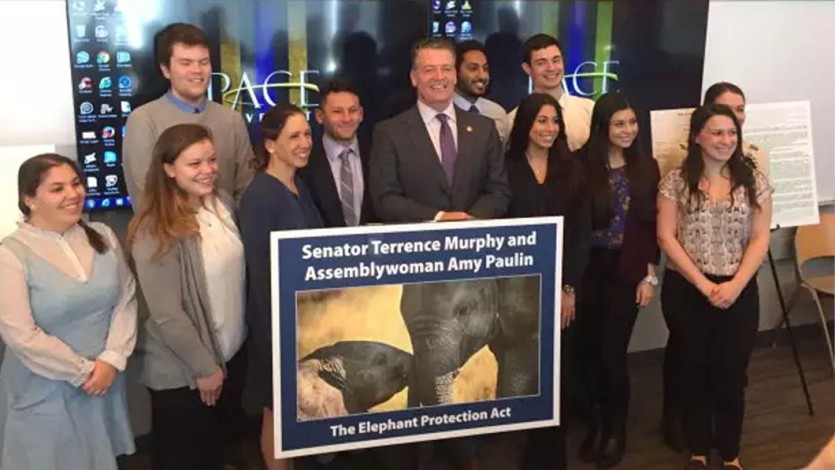 Pace University students with Senator Terrence Murphy and Assemblywoman Amy Paulin on the Elephant Protection Act