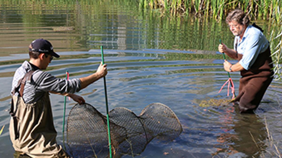 Student wading in a body of water with John Cronin