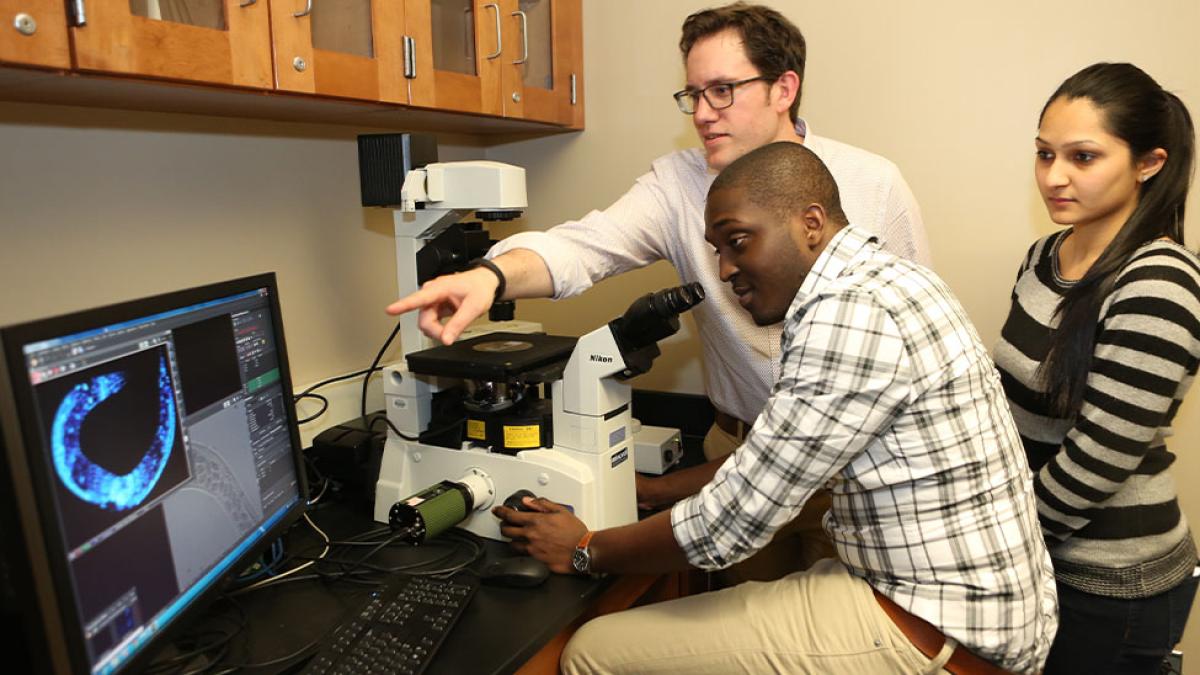 Students with Matthew Marcello in Biology lab using monitor-connected microscope