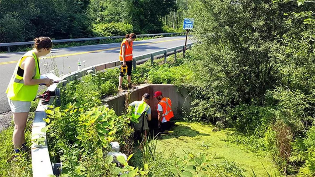 Students off the side of the road in hudon valley studying wildlife