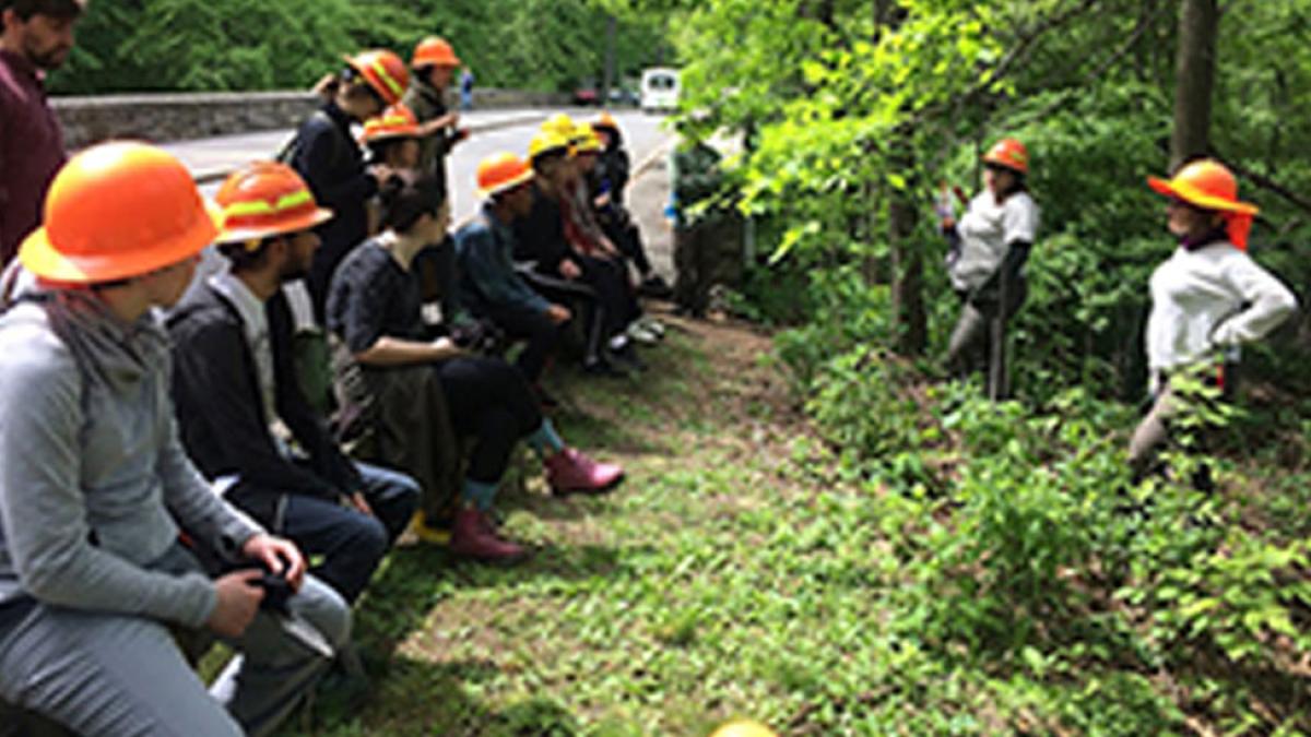 Students on the side of the road in the Hudson Valley researching conservation of wooded areas