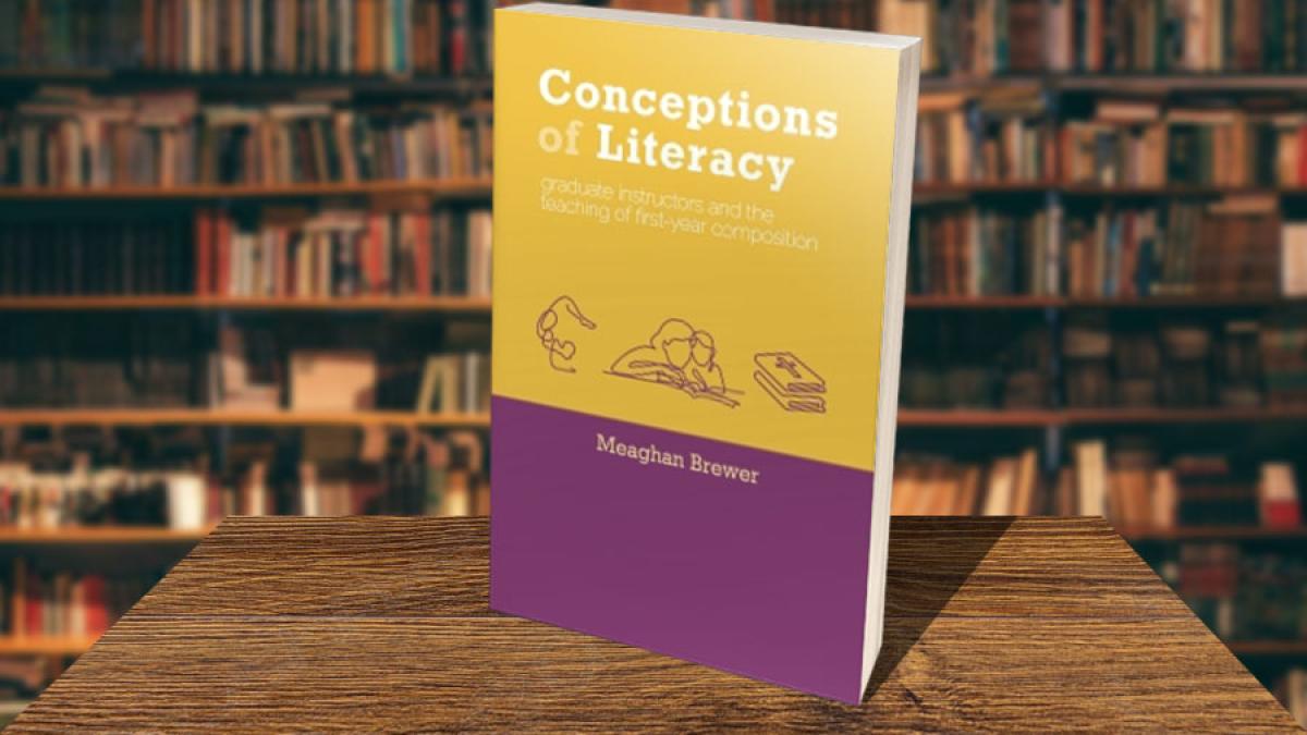Book Cover for Conceptions Of Literacy: Graduate Instructors And The Teaching Of First-Year Composition