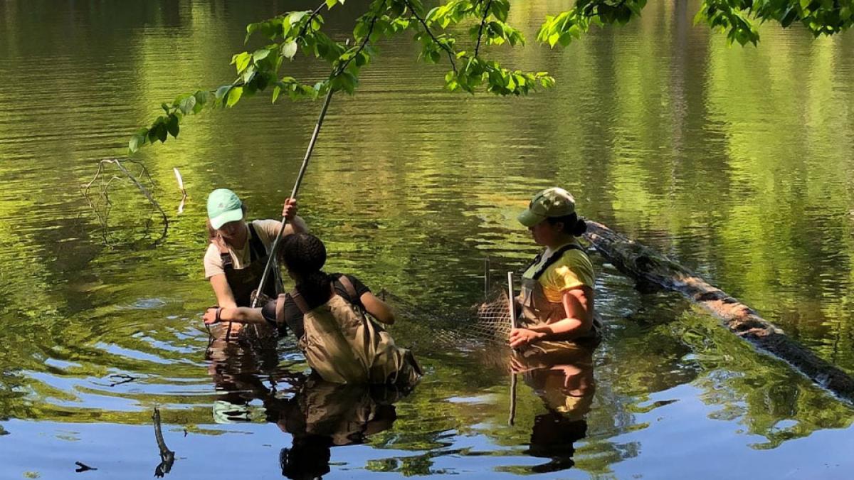 Students wading in water